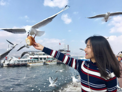 一根藤上七朵花！MBA和他的六個小兄弟