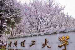 廣東MBA考研調(diào)劑武漢理工大學(xué)有什么條件？