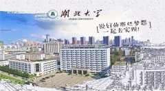 廣東MBA考研調(diào)劑湖北大學(xué)有什么條件？