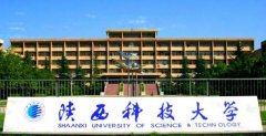 2021年陜西科技大學(xué)MBA調(diào)劑開(kāi)網(wǎng)時(shí)間
